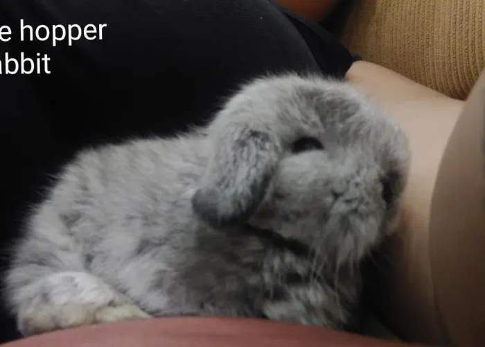 Sleepwith Me